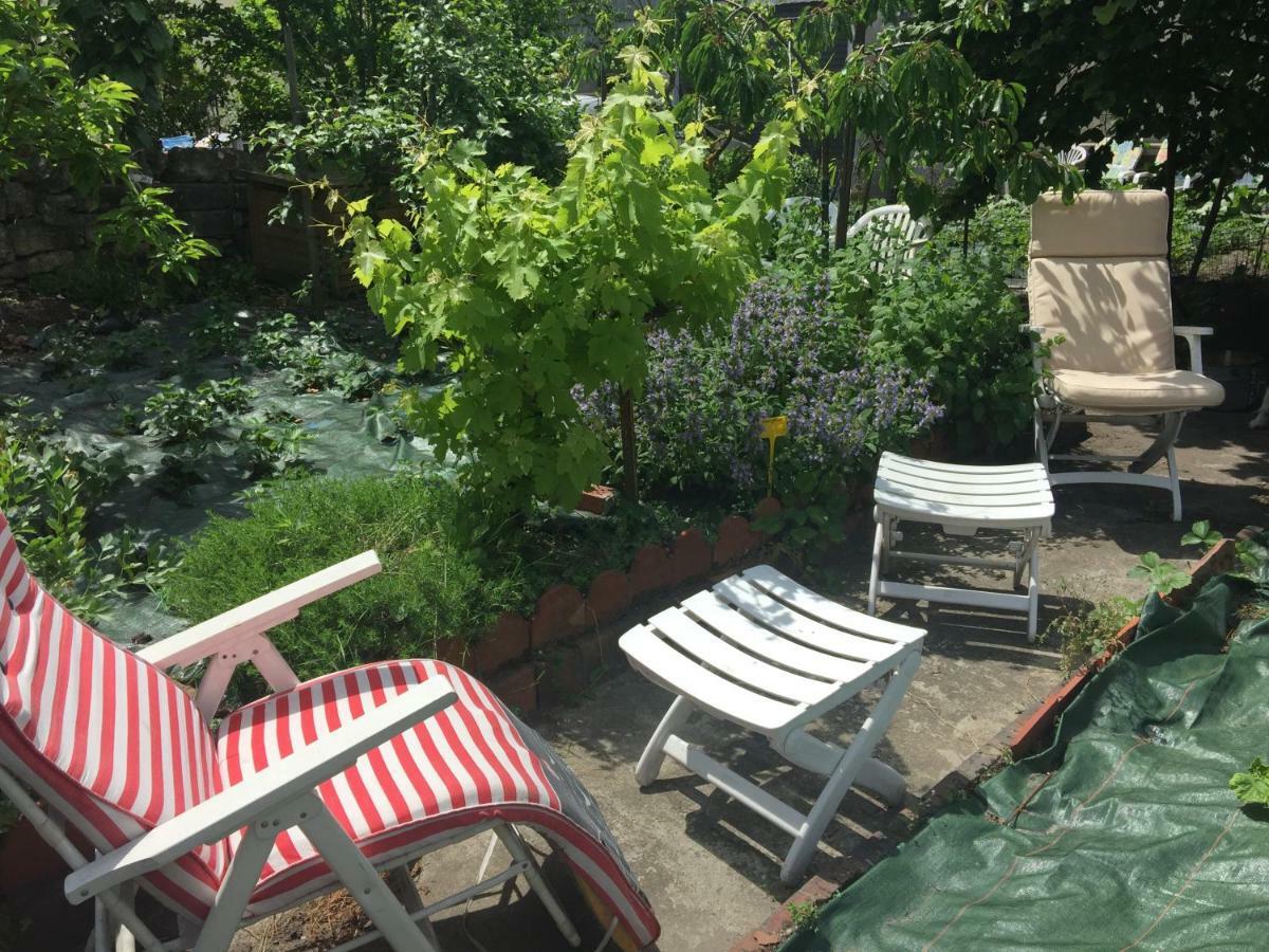 Séjour chez l'habitant Violette
