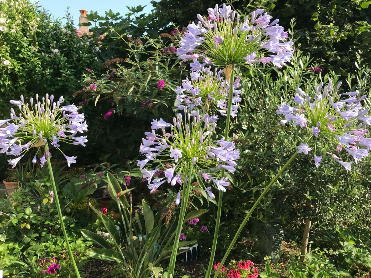 Privatunterkunft Violette